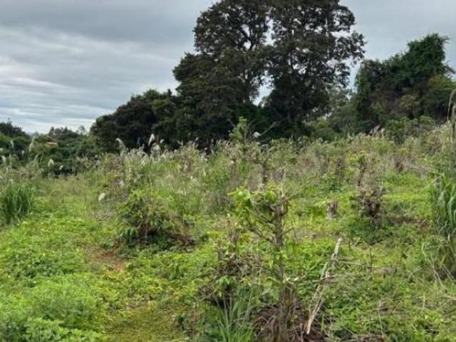 Sítio e chácara venda em Região Geográfica Imediata de Varginha, Elói Mendes
