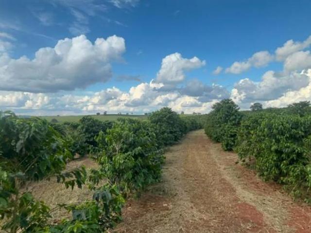 Sítio e chácara venda em Elói Mendes, Região Geográfica Intermediária de Varginha