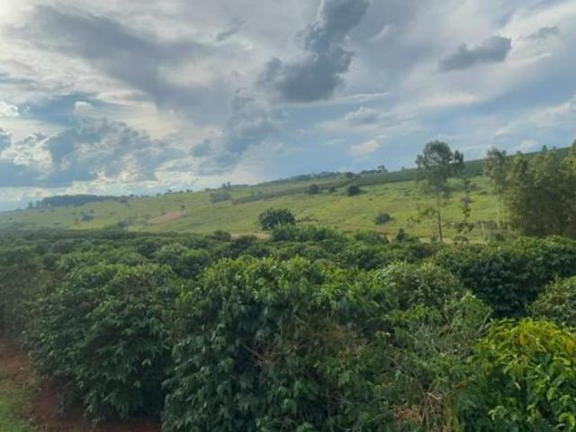 Sítio e chácara venda em Elói Mendes, Região Geográfica Intermediária de Varginha
