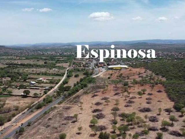 Sítio e chácara venda em Espinosa, Região Sudeste