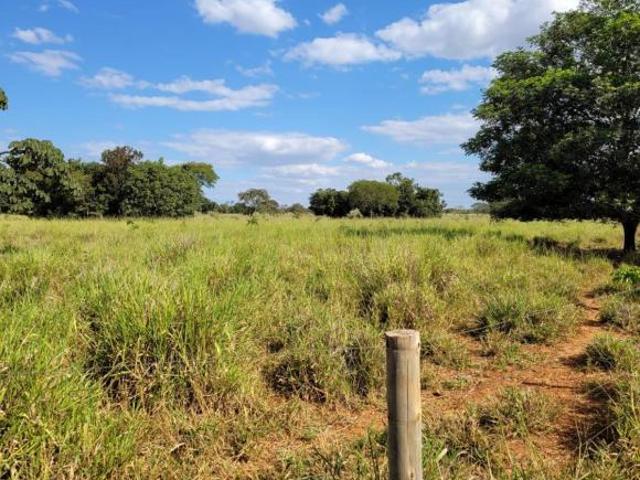 Sítio e chácara venda em Região Geográfica Imediata de Curvelo, Felixlândia