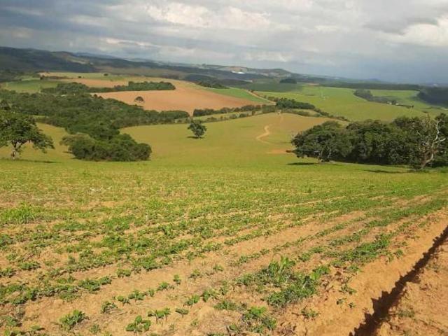 Sítio e chácara venda em Região Geográfica Imediata de Pouso Alegre, Ipuiúna