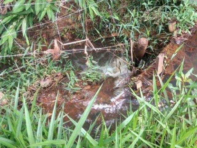 Sítio e chácara venda em Região Geográfica Imediata de Divinópolis, Região Metropolitana de Belo Horizonte