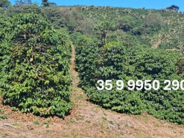 Sítio e chácara venda em Região Geográfica Imediata de São Lourenço, Jesuânia