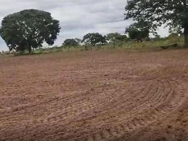 Sítio e chácara venda em Região Geográfica Imediata de Patos de Minas, João Pinheiro