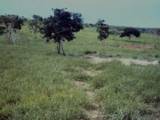Sítio e chácara venda em Região Geográfica Imediata de Patos de Minas, João Pinheiro