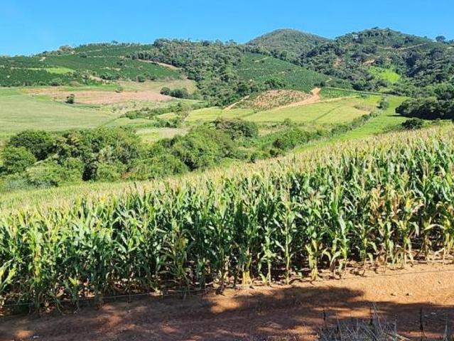 Sítio e chácara venda em Região Geográfica Imediata de São Lourenço, Lambari