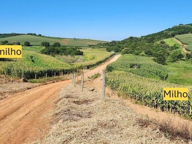 Sítio e chácara venda em Região Geográfica Imediata de São Lourenço, Lambari