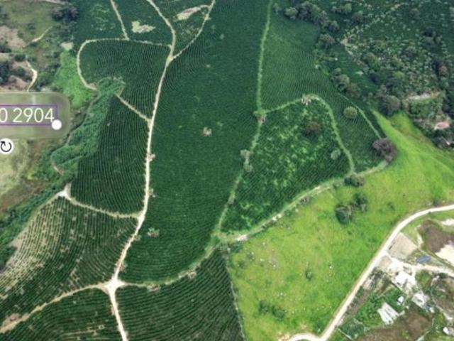Sítio e chácara venda em Região Geográfica Imediata de São Lourenço, Lambari