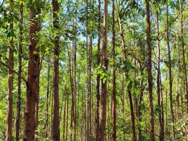 Sítio e chácara venda em Região Geográfica Imediata de Pirapora, Lassance