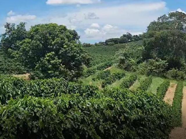 Sítio e chácara venda em Região Geográfica Imediata de Lavras, Lavras