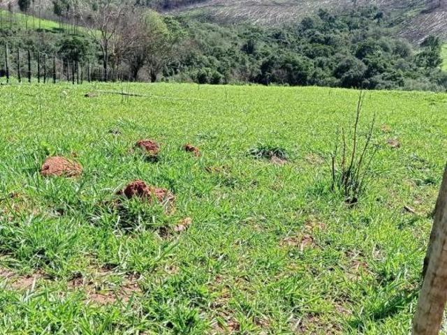 Sítio e chácara venda em Região Geográfica Imediata de Lavras, Luminárias