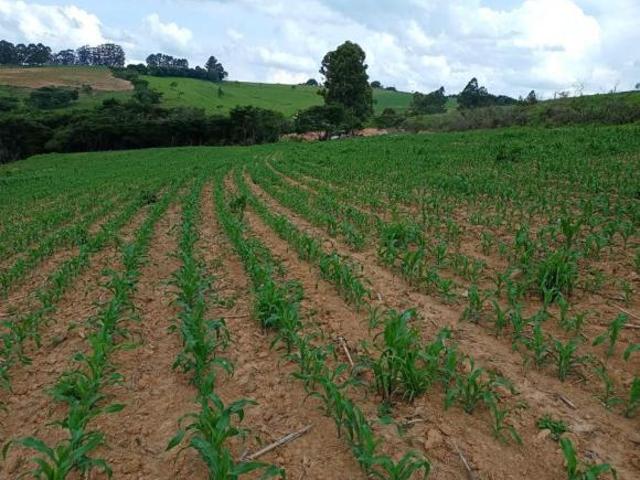 Sítio e chácara venda em Região Geográfica Imediata de Lavras, Luminárias