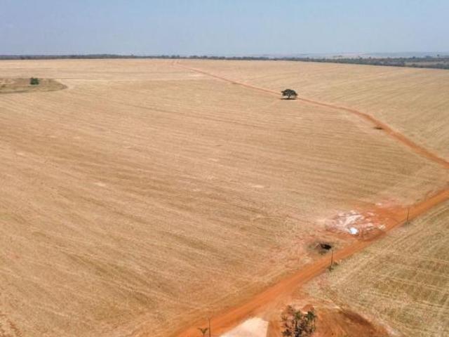 Sítio e chácara venda em Região Geográfica Imediata de Luziânia, Região Integrada de Desenvolvimento do Distrito Federal e Entorno