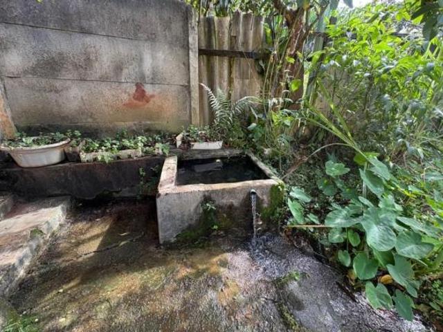 Sítio e chácara venda em Tangará, Mário Campos