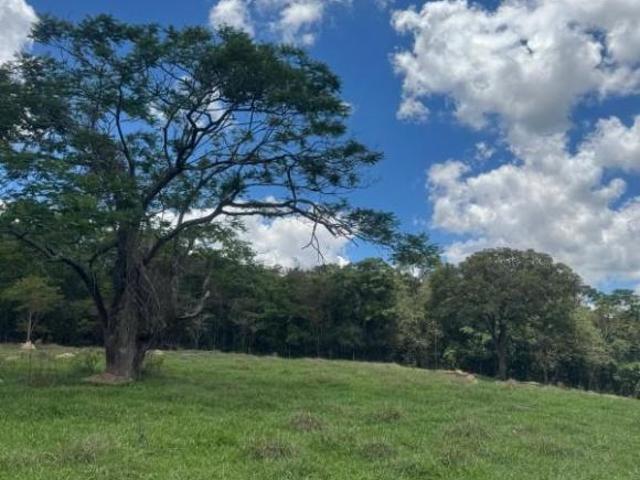 Sítio e chácara venda em Região Geográfica Imediata de Belo Horizonte, Região Metropolitana de Belo Horizonte