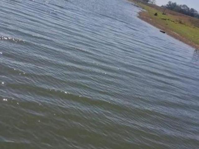 Sítio e chácara venda em Região Imediata de Fernandópolis, Mira Estrela