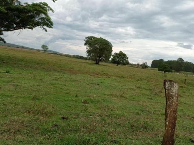 Sítio e chácara venda em Região Geográfica Imediata de Curvelo, Morro da Garça