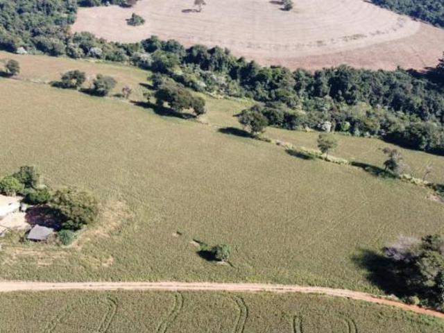 Sítio e chácara venda em Nepomuceno, Região Geográfica Intermediária de Varginha