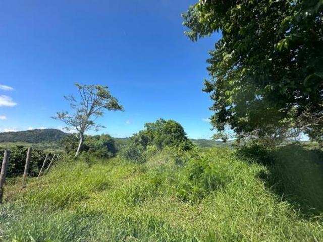 Sítio e chácara venda em Região Geográfica Imediata de Lavras, Nepomuceno