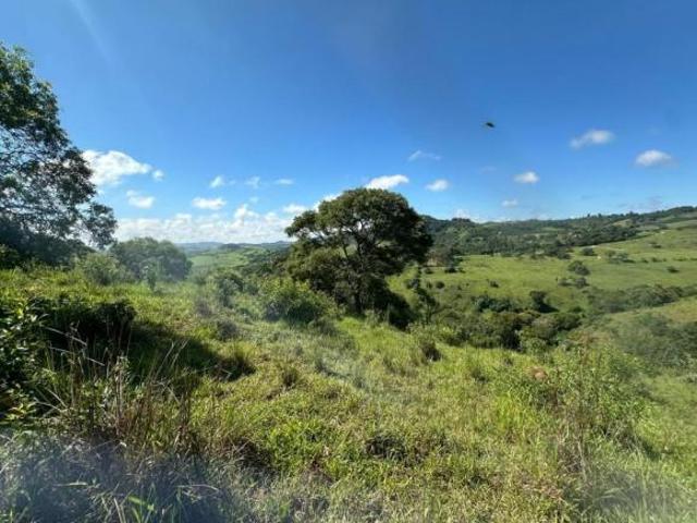 Sítio e chácara venda em Região Geográfica Imediata de Lavras, Nepomuceno