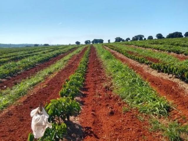 Sítio e chácara venda em Região Geográfica Imediata de Três Pontas - Boa Esperança, Boa Esperança
