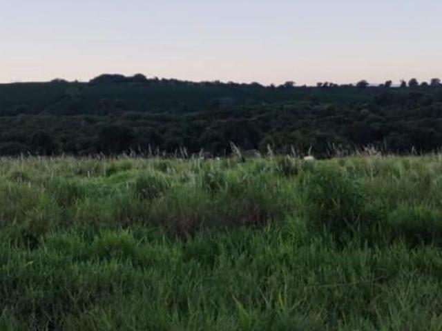 Sítio e chácara venda em Região Geográfica Imediata de Três Pontas - Boa Esperança, Boa Esperança