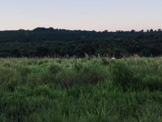 Sítio e chácara venda em Região Geográfica Imediata de Três Pontas - Boa Esperança, Boa Esperança