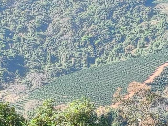 Sítio e chácara venda em Bambuí, Região Geográfica Intermediária de Divinópolis
