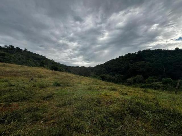 Sítio e chácara venda em Nepomuceno, Região Geográfica Intermediária de Varginha