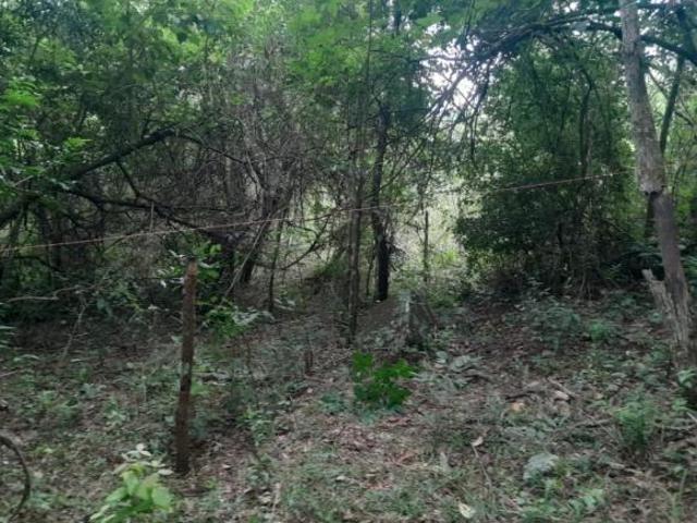 Sítio e chácara venda em Nepomuceno, Região Geográfica Intermediária de Varginha