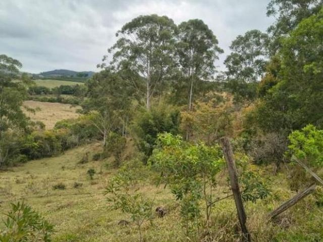 Sítio e chácara venda em Nepomuceno, Região Geográfica Intermediária de Varginha