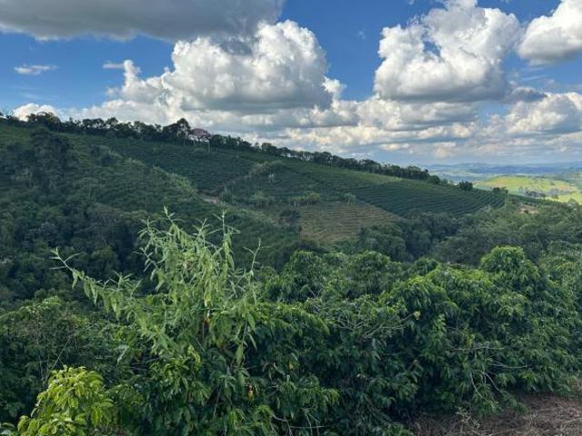 Sítio e chácara venda em Nepomuceno, Região Geográfica Intermediária de Varginha