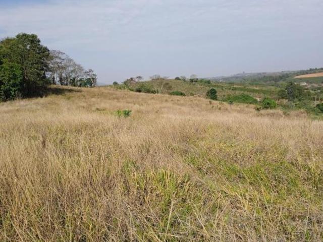 Sítio e chácara venda em Monte Alegre, Nepomuceno