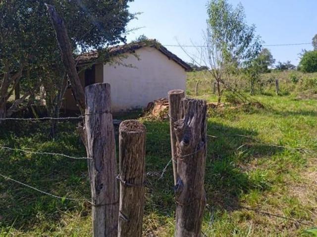 Sítio e chácara venda em Nepomuceno, Região Geográfica Intermediária de Varginha