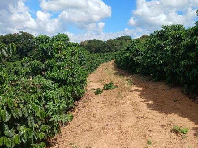 Sítio e chácara venda em Região Geográfica Imediata de Lavras, Nepomuceno