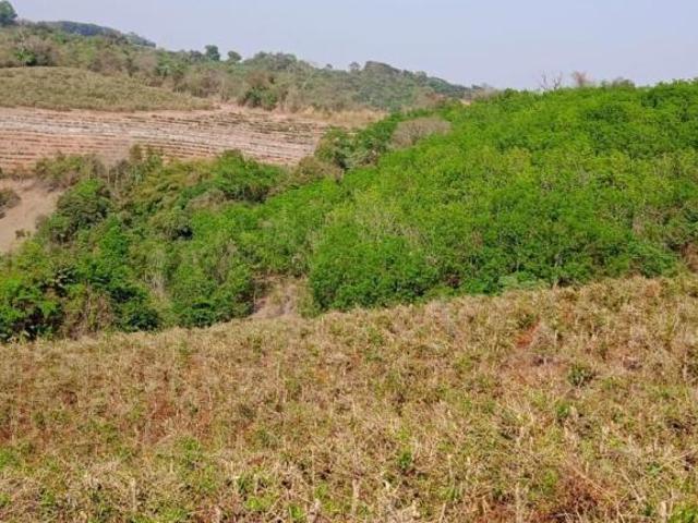 Sítio e chácara venda em Nepomuceno, Região Geográfica Intermediária de Varginha