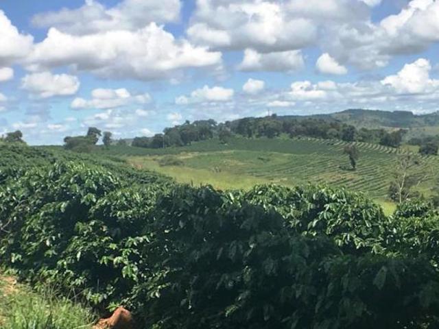 Sítio e chácara venda em Região Geográfica Imediata de Lavras, Nepomuceno