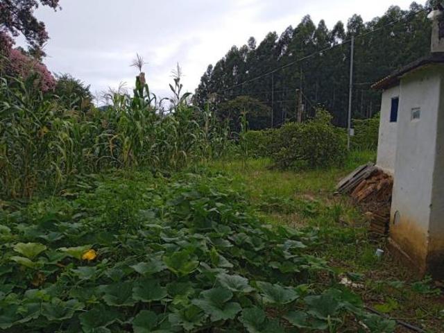 Sítio e chácara venda em Região Geográfica Imediata de Lavras, Nepomuceno