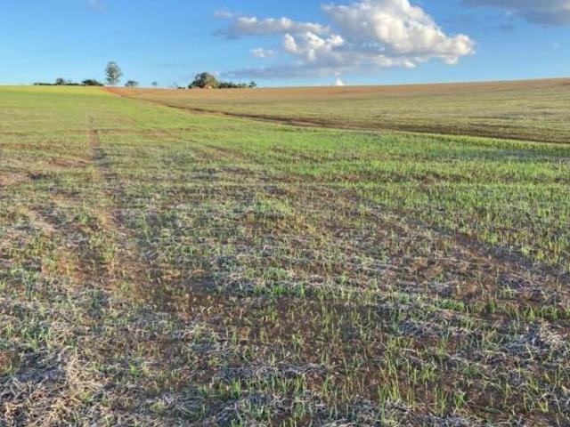Sítio e chácara venda em Região Geográfica Imediata de Oliveira, Oliveira