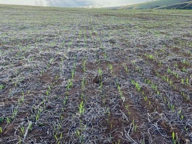 Sítio e chácara venda em Região Geográfica Imediata de Oliveira, Oliveira