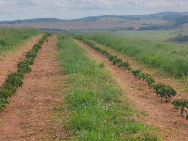 Sítio e chácara venda em Região Geográfica Imediata de Oliveira, Oliveira