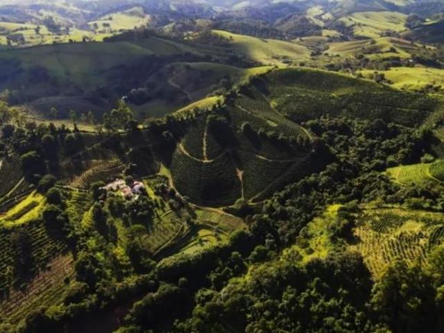 Sítio e chácara venda em Região Geográfica Imediata de Pouso Alegre, Ouro Fino