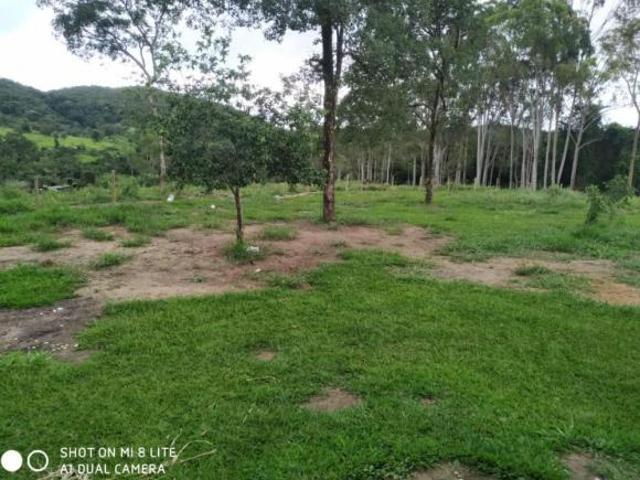 Sítio e chácara venda em Centro, Pará de Minas