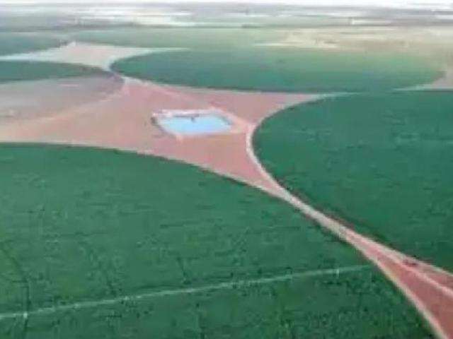 Sítio e chácara venda em Região Geográfica Imediata de Patos de Minas, Paracatu