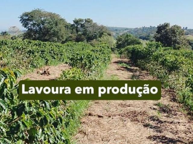 Sítio e chácara venda em Região Geográfica Imediata de Alfenas, Paraguaçu