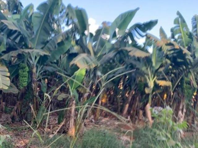 Sítio e chácara venda em Região Geográfica Imediata de Sete Lagoas, Paraopeba