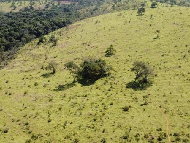 Sítio e chácara venda em Região Geográfica Imediata de Oliveira, Passa Tempo