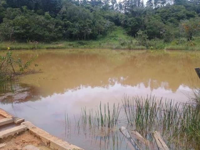 Sítio e chácara venda em Região Geográfica Imediata de Oliveira, Passa Tempo