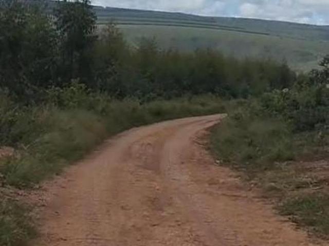 Sítio e chácara venda em Região Geográfica Imediata de Ponte Nova, Ponte Nova